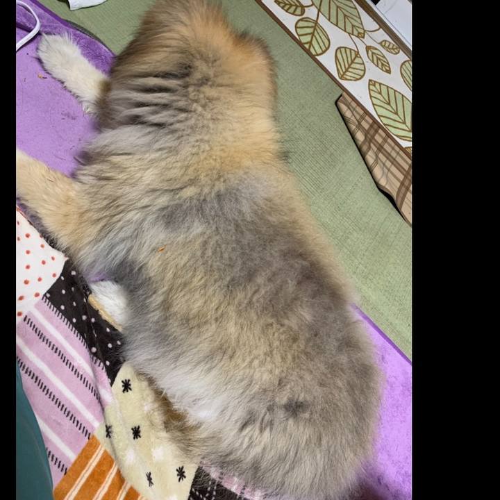 6a854859 830d 4d39 8936 6acd6bde6fd4 1659870372740