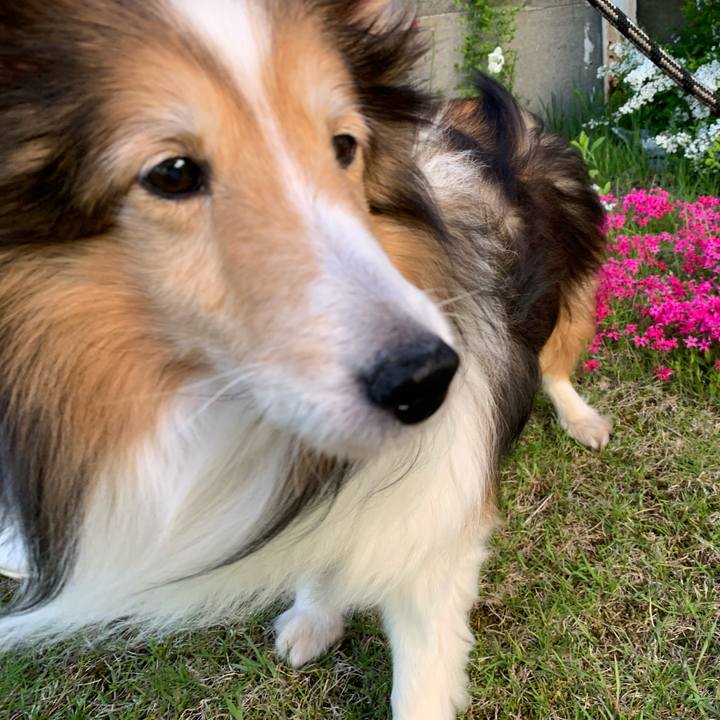 6a8569b3 4b7a 4457 ba98 3bec2057aa50 1591096119619