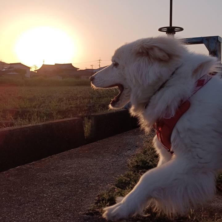 6a858684 8cf8 461e 8e4d 0aaaf7164bd3 1681118541618