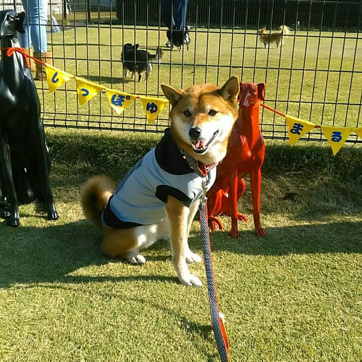 6a85e288 e670 4970 af21 994b8a7a0e98 1573304543405