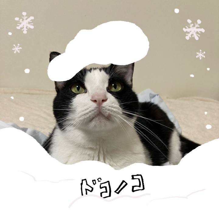 6a85e7da b11f 4206 853b 9222855af23b 1772459751197