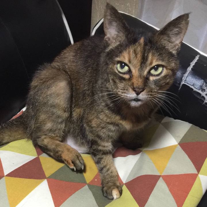 6a85ea7b b178 47a1 8e71 731269752694 1559739868002