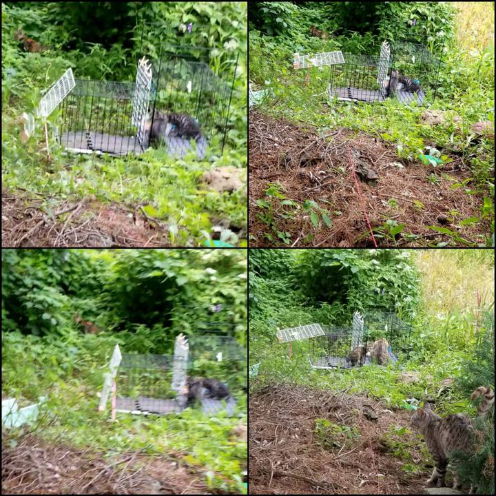 6a860893 b171 4cb7 9e99 adbec75b7e99 1691679769384