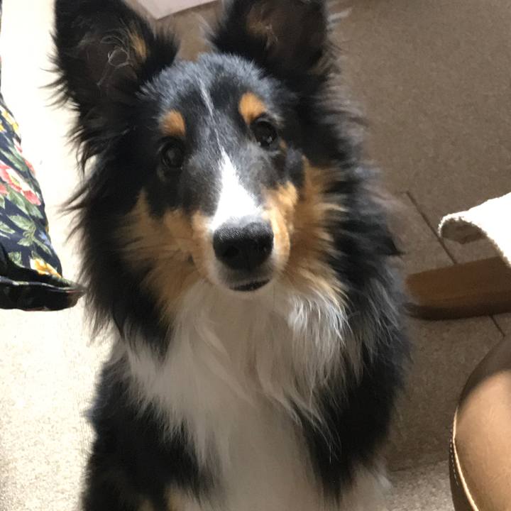 6a863b88 bada 4469 8728 c708b98b4964 1521933264269