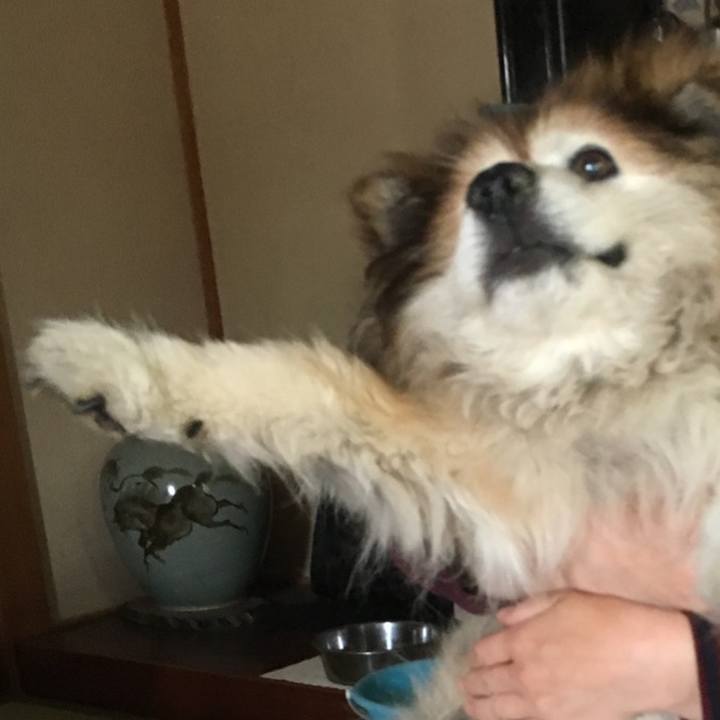 6a86573a 2cdf 4667 b659 e84cbd5dafb8 1601377163809