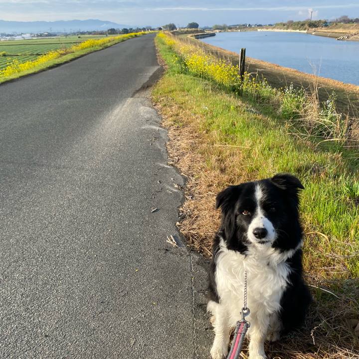 6a8671fb f6f0 4b55 a151 aad8b2527a44 1647735166001