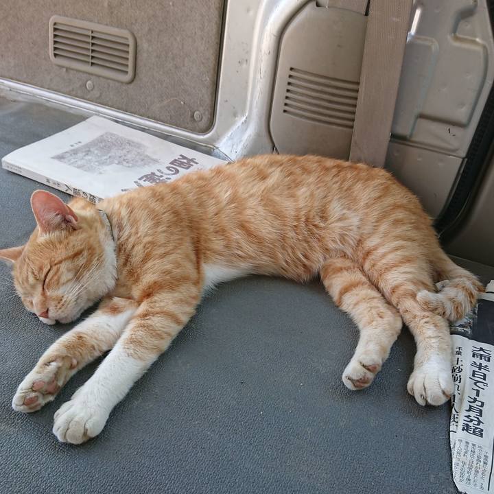 6a868901 0977 4b01 8dae 08af6158b9ea 1591511446083