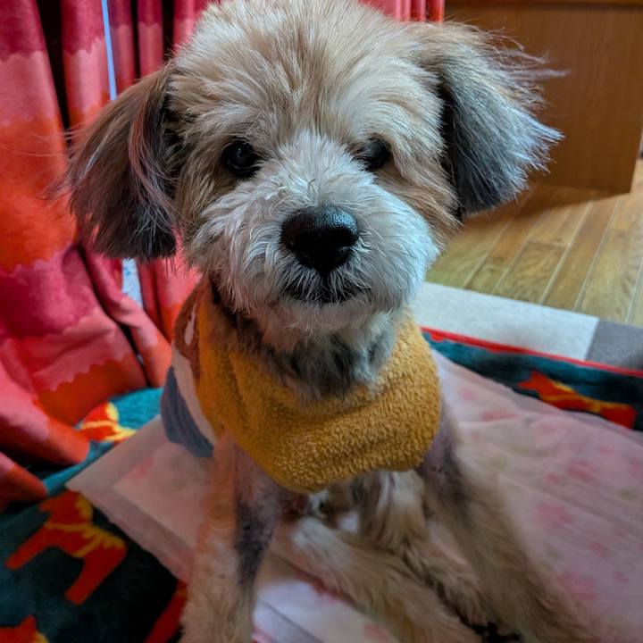 6a869e01 57cf 4dec b357 d610ce6d86c6 1772455364381