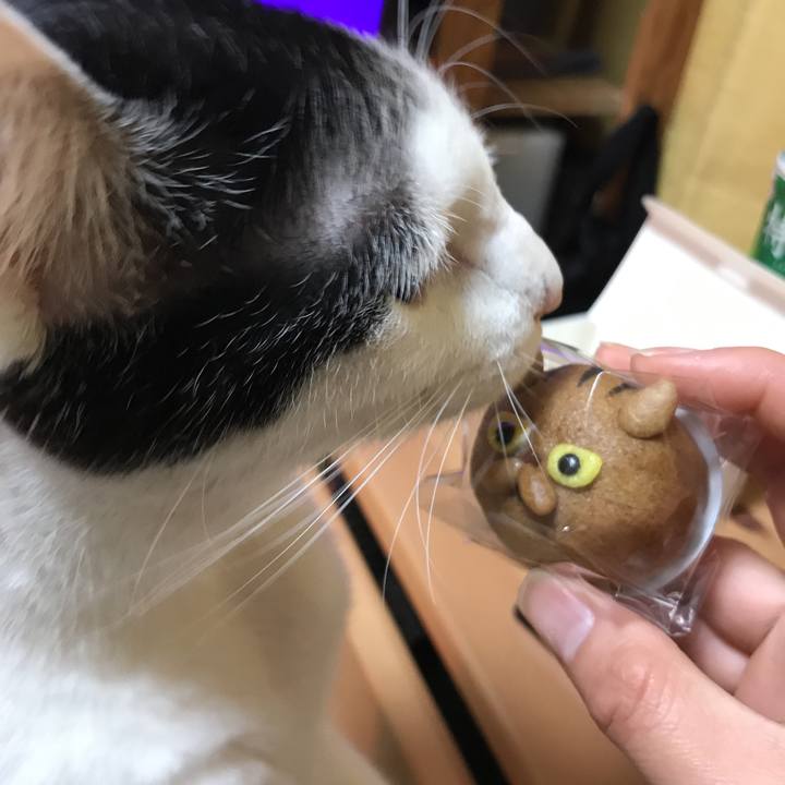 6a86bea7 4421 4ffa 9e7e 7d6320242ec2 1518882362753