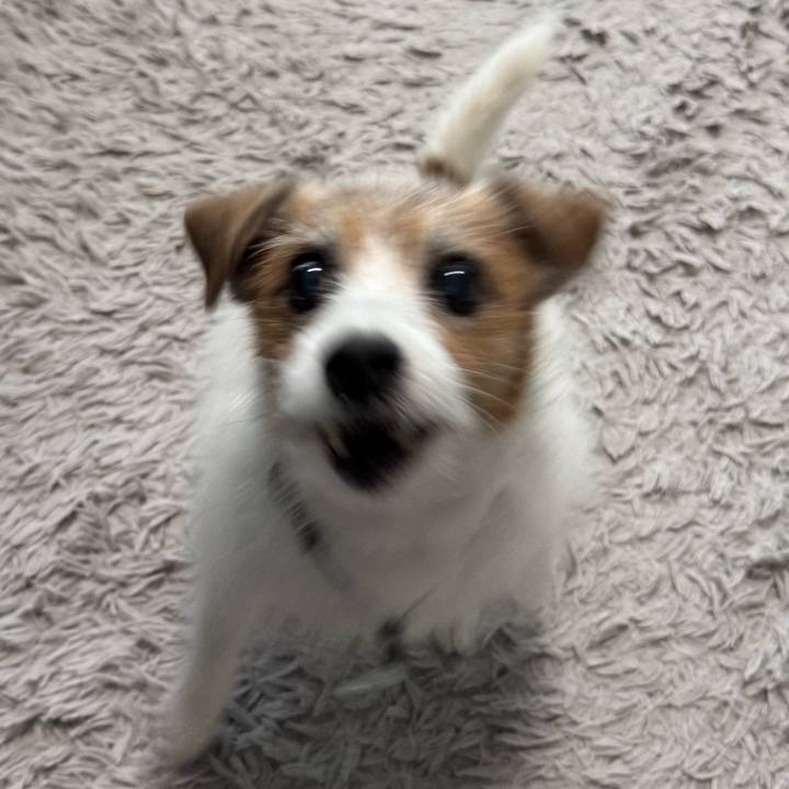 6a86eeff a961 41a0 b628 5bf68c2f3b1e 1762046679141