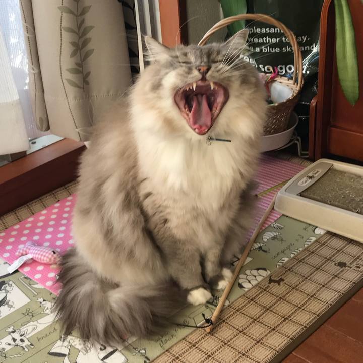 6a8716dc abc6 49f5 92f4 65d334bca38a 1514184762388