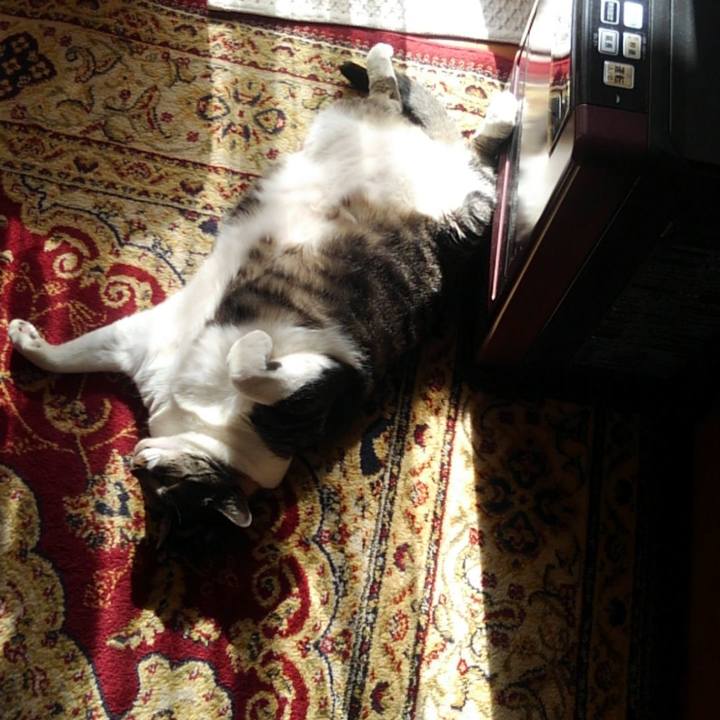 6a87384d 7a54 4dba 858a 39003fed73e0 1619928239085