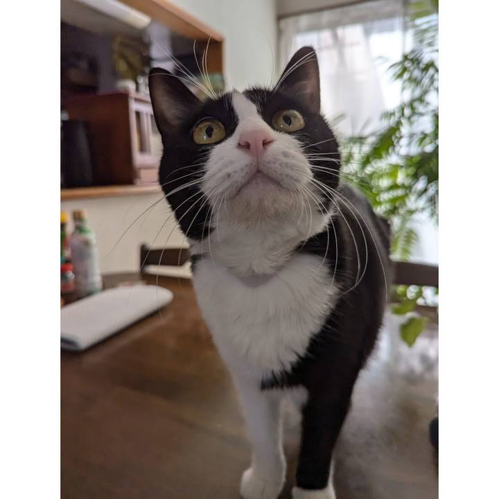 6a874cf5 93b2 4928 a404 05a01d6224ac 1731311024830