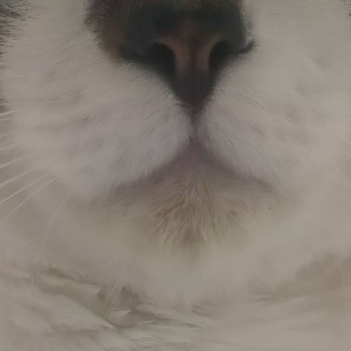 6a8797c2 125f 41e4 b986 62f11e00bf30 1611844058250