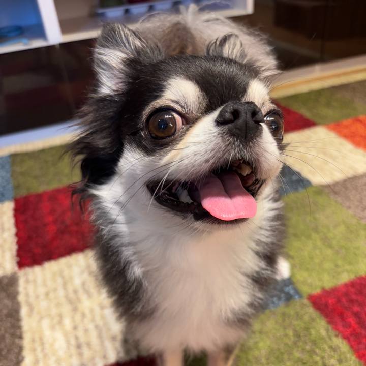 6a881f29 9584 43f3 8e60 7cc33a2dda02 1753632819762