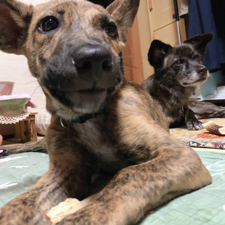 6a884b27 d8b0 4032 8faf c887e1fc867f 1569674834152