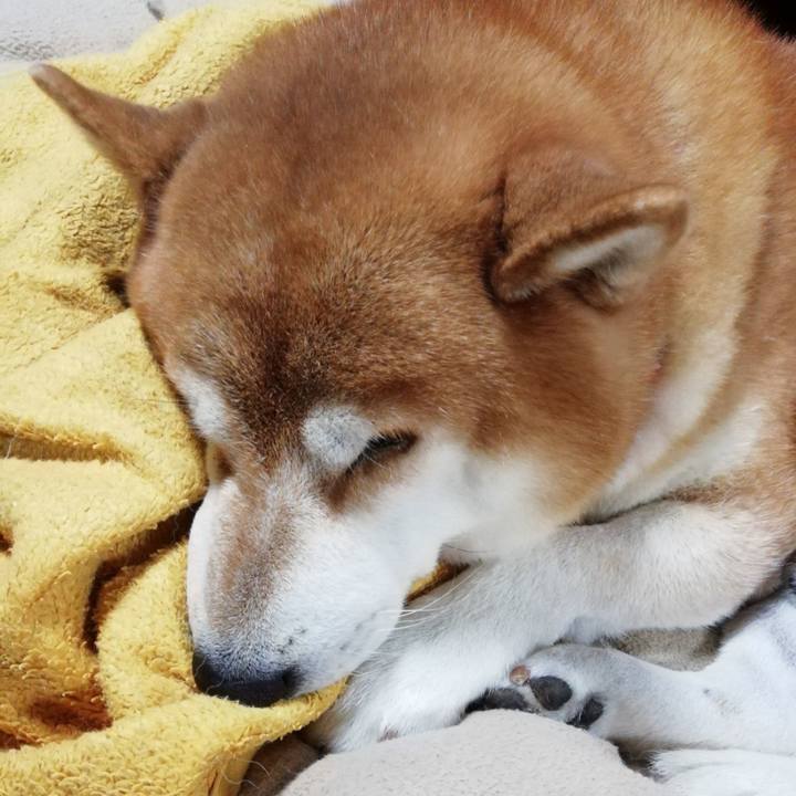 6a8852db d8da 4eca abd6 b5f628967c2f 1667278694178