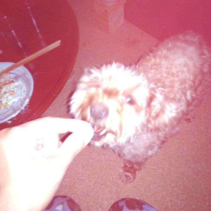 6a8854b6 616e 4ab4 9fe8 70904416c598 1536227728644