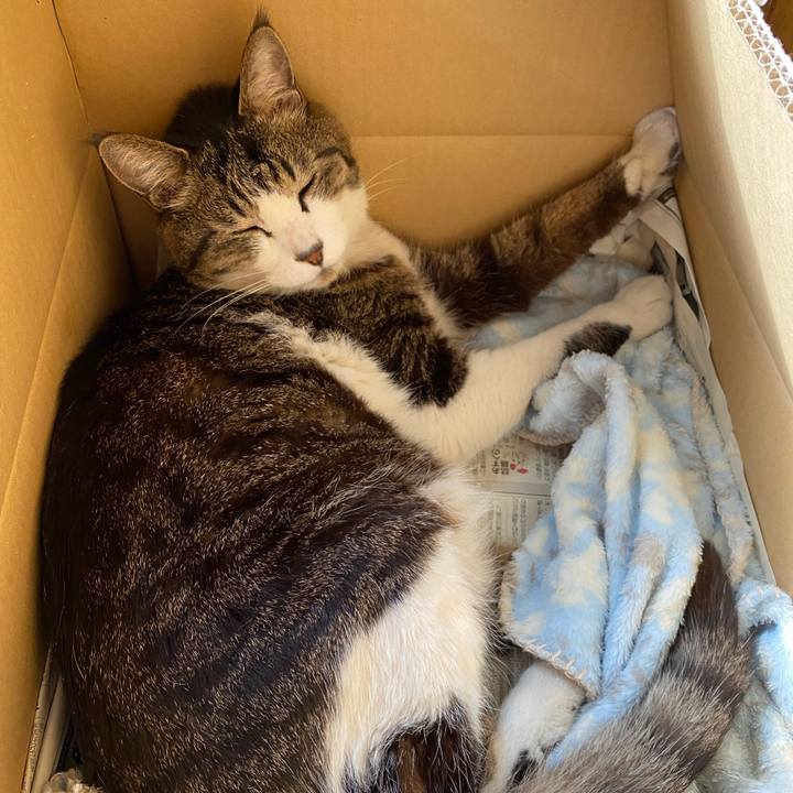 6a886e8d dbf1 45da 9ca8 3671e573527d 1685528584526