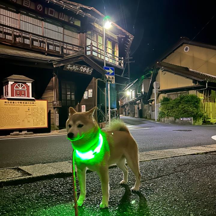 6a88951a c2fb 4dce 9606 3a394a2f1534 1716982132202