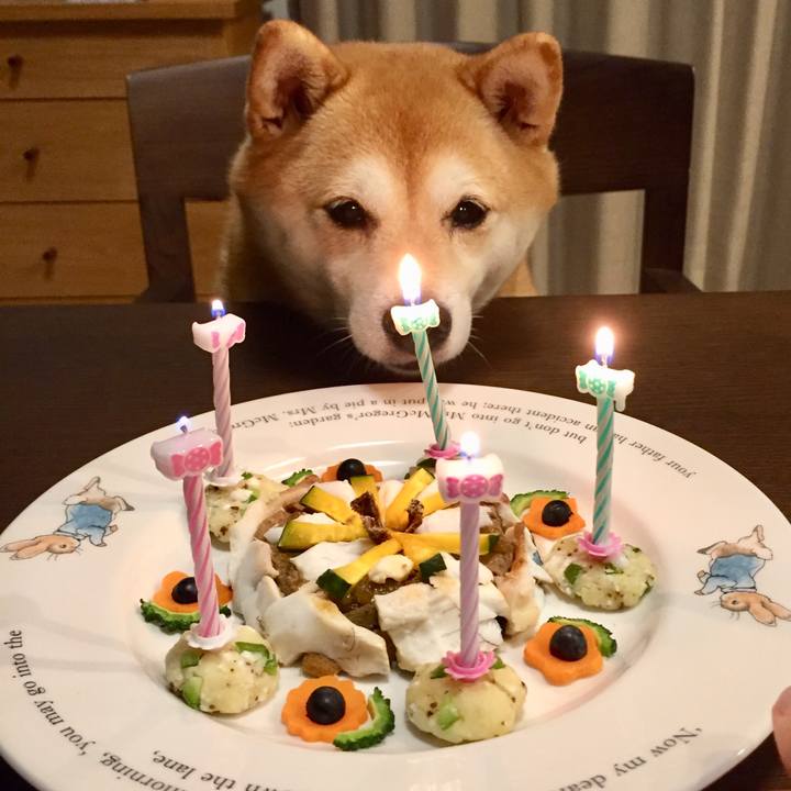 6a88aa5f acfe 41b5 8d46 9a679fe7fe39 1566304741789