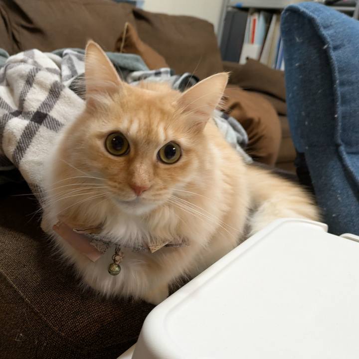 6a88c147 b7b4 46ef 9dfd 1c3ca1799e30 1737069270875