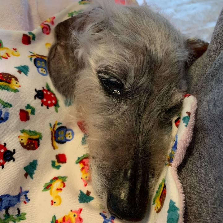 6a88f4a5 42f9 4318 b13f e9a86055a52e 1606452451961