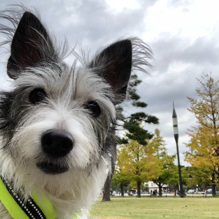 6a88f524 033b 4cdb 8eea 6aa51282fa4e 1542521861706