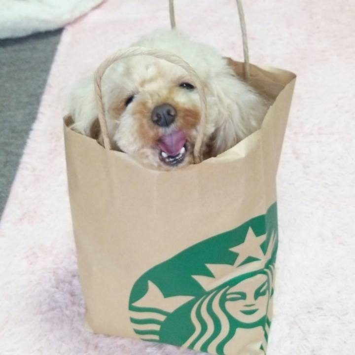 6a893c29 ada9 4c67 b5b4 a6fdfc4a984c 1546935079230