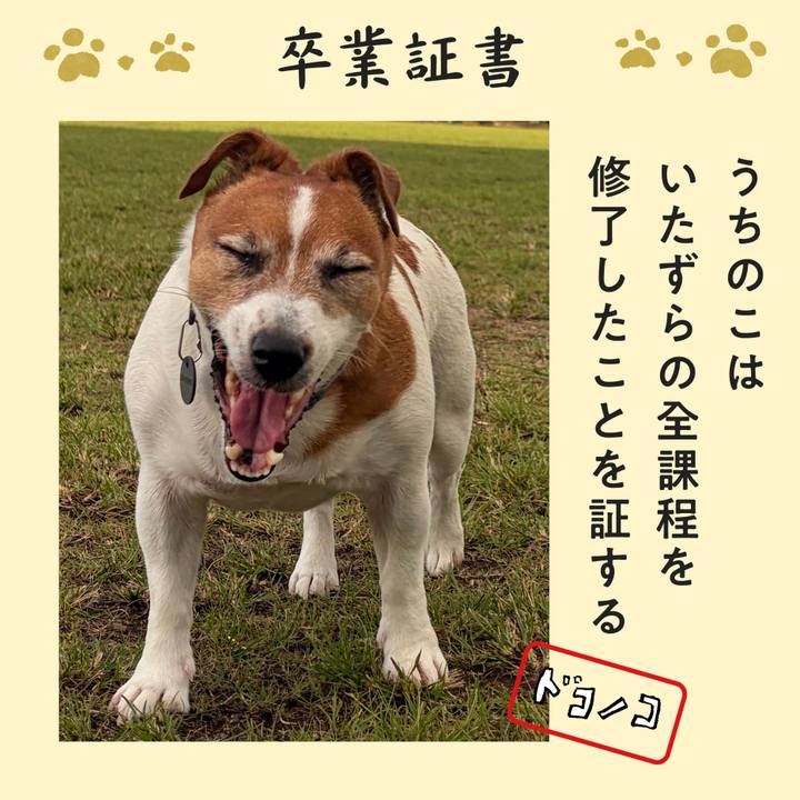 6a89776f 5ab1 4e0a 9fc6 6139fcf2e5e5 1772443882040