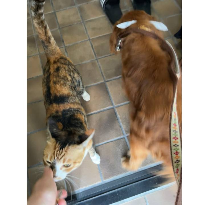 6a898833 a17d 42a0 8fbe 9c2fdb4301e3 1725753689626