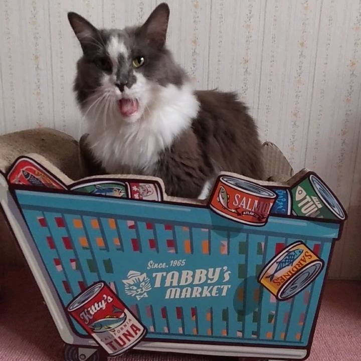 6a89965c 2bc6 4898 8836 5f748703fe4a 1665056867530