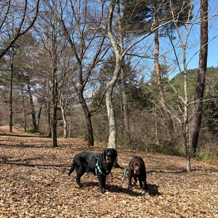 6a89b1af 4289 4909 a7af d3bae28756af 1774176965968