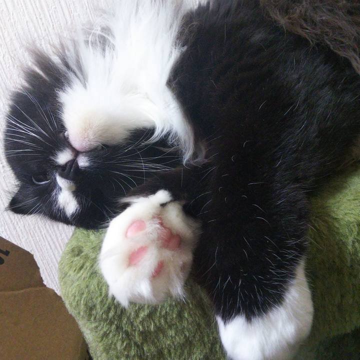 6a89b2be 55c6 4ca0 95b3 e3875192d806 1661220341180