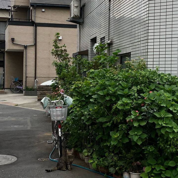 6a89b47b ae34 4146 bfc2 dc6fc2bb6306 1525315285777