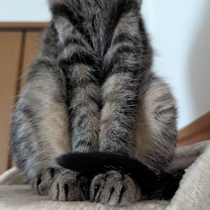 6a8a0f0d 60c1 404b a4a3 ba4d376dc1b2 1738730506531