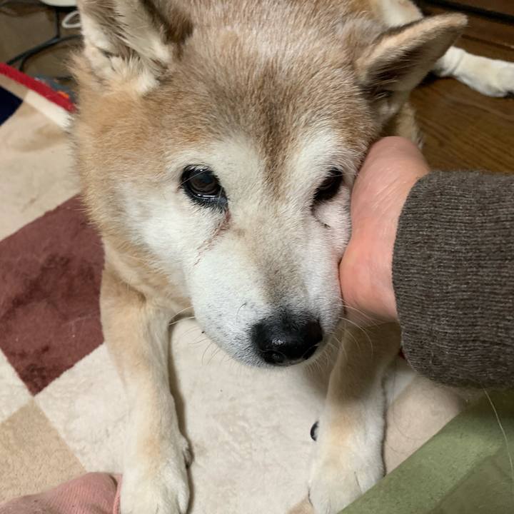 6a8a1b48 9440 4e80 a689 fc3c288493a4 1637473289249