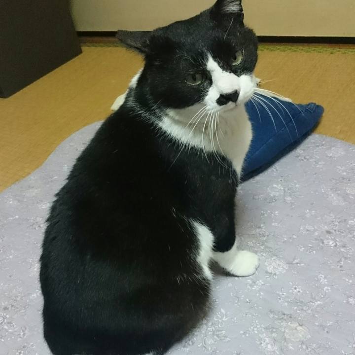 6a8a2e91 115a 4ce2 88fc 500762459373 1522189120883