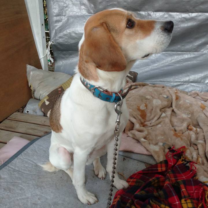 6a8a3c11 f326 4e26 a3bb 20ebc1048b5a 1609325493014