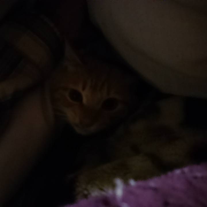 6a8a4011 da84 4929 a715 3febaa079f38 1637440636643