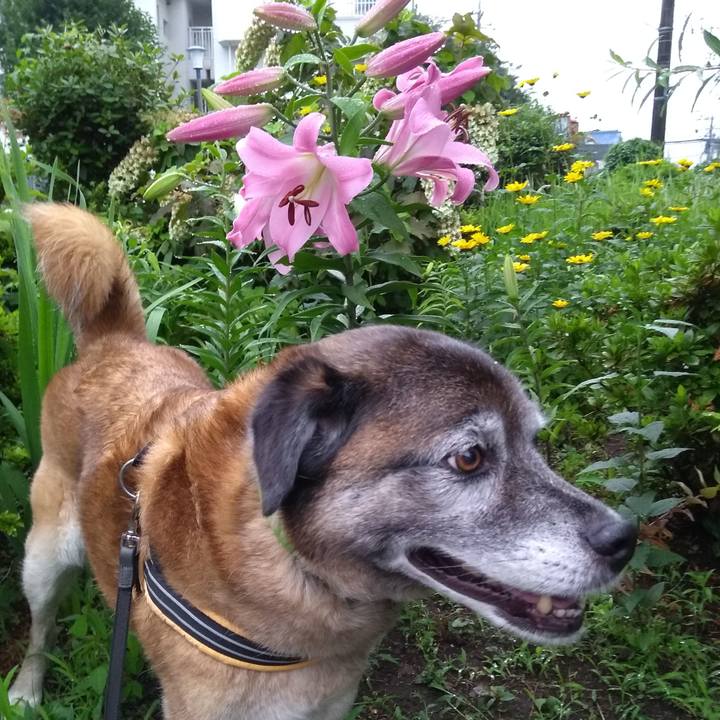 6a8a41be c60b 4221 b195 2fe8ca6a1d54 1561976939693