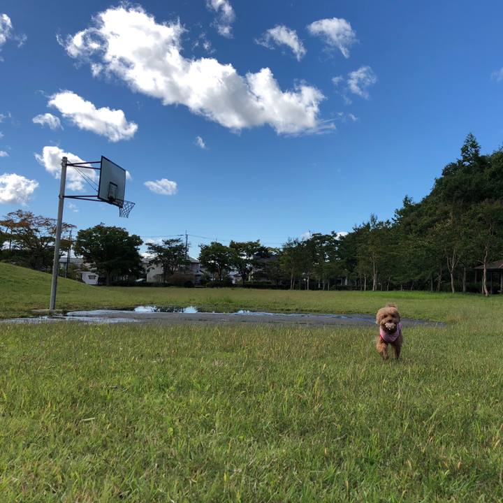 6a8a75bb 6681 4f4a 8dc1 dc758db871f2 1538367730257