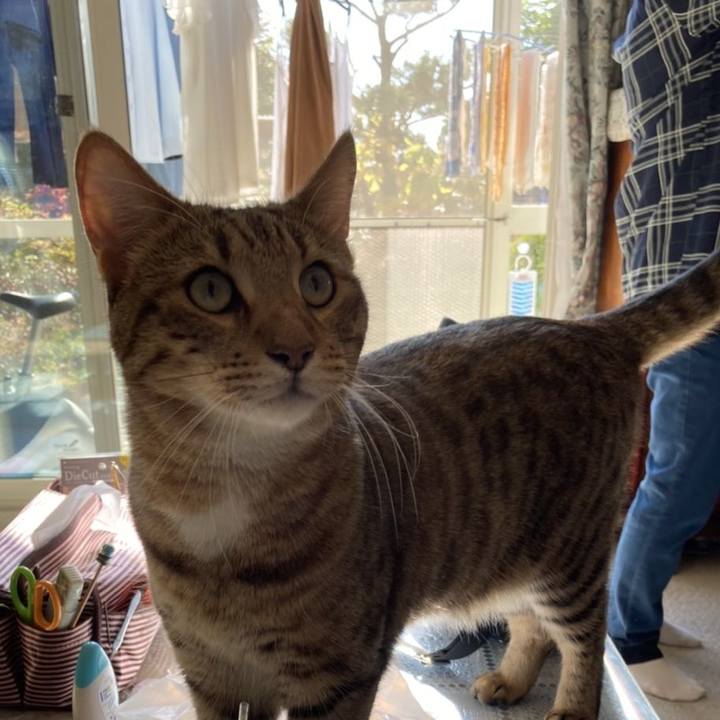 6a8abb17 4433 4e3f 8deb 07b0a127cfe3 1603113605117