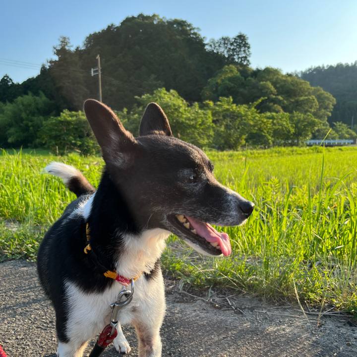 6a8ac2a7 5940 4ee0 8485 56ff02c24f40 1687002408099