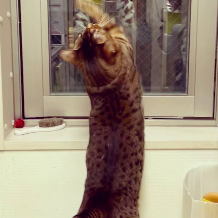 6a8add2f 079e 429f a1eb 08d75f7dc243 1646353273708