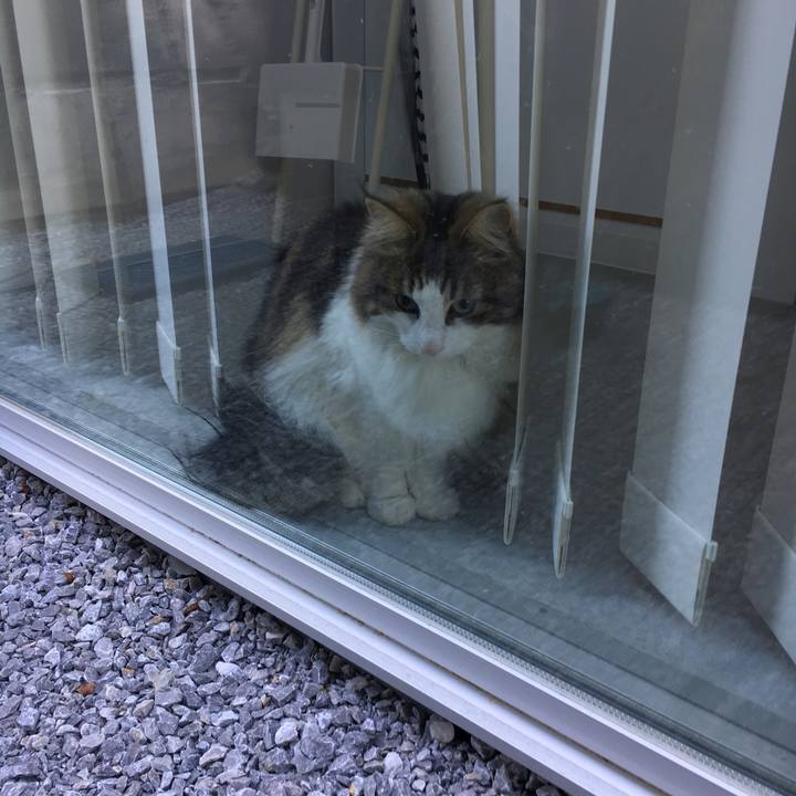 6a8adedf 383c 4a7a b7f5 af512032c199 1518684789510