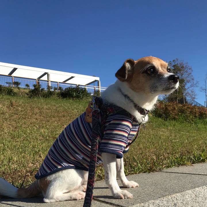 6a8afd6d 2cbe 4408 9970 423b7b2fde52 1541118404338