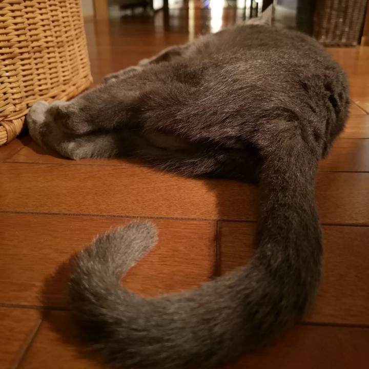 6a8b37e4 b5ae 45df 8f33 bba77dad91cf 1569621183689