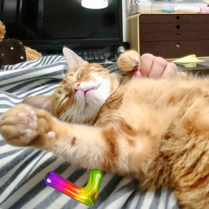 6a8b3ae7 8e68 4f25 8877 a70aeac6a506 1686654077705