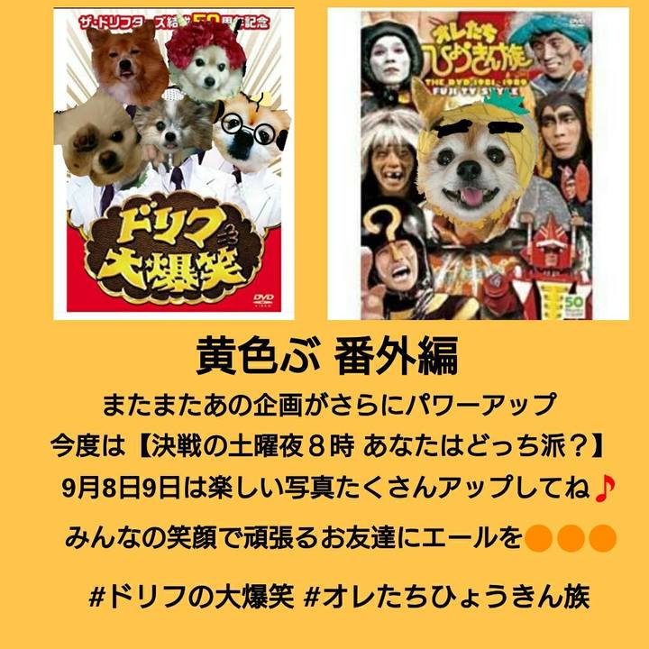 6a8b6939 d7d0 4975 aaec a0c1756ec768 1535842663086